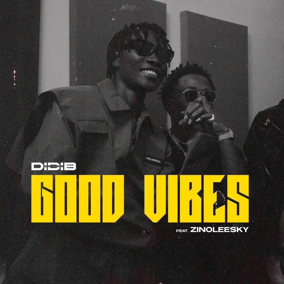 Good Vibes audio by Didi B feat. Zinoleesky