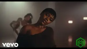 Sankofa (Video) audio by Gyakie