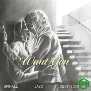 SPINALL – Want You Ft. JayO & DESTIN CONRAD