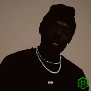 THE SECRET FREQUENCY Album audio by MashBeatz