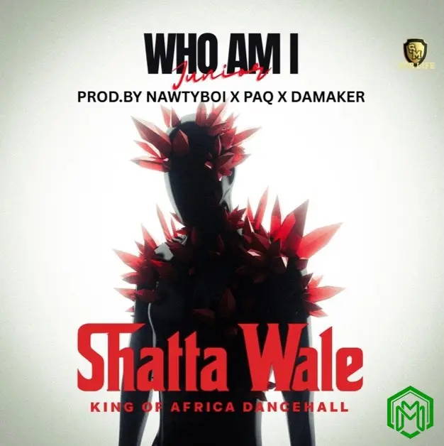 Shatta Wale - Who Am I