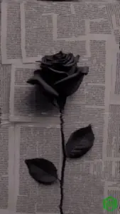 Marioo – Dear Mama