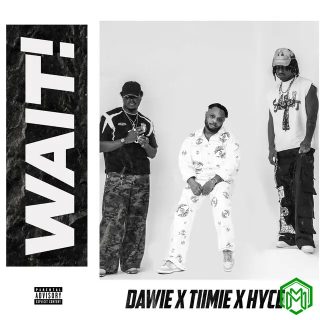 Dawie - Wait ft. Hyce, Tiimie