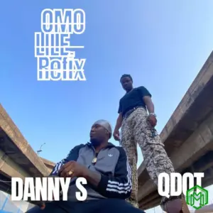 Omo Lile (Refix) audio by Danny S feat. Qdot