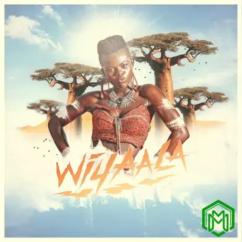 Woyaye (We Are Going) audio by Wiyaala
