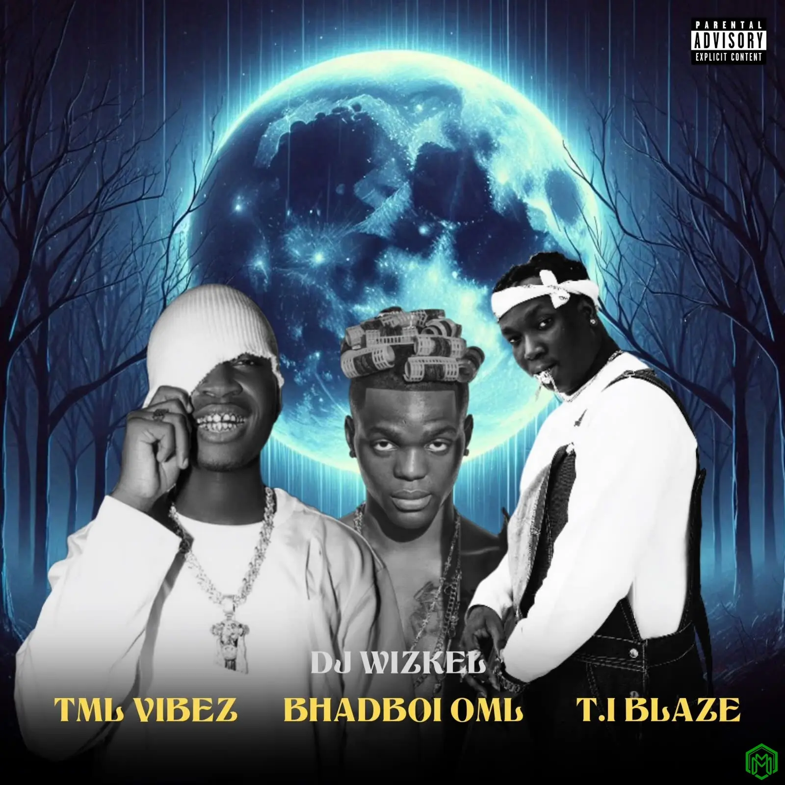 BEST OF TML VIBEZ, BHADBOI OML & T.I BLAZE MIX audio by Dj Wizkel