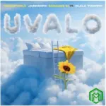 uValo audio by Jazzworx feat. Dlala Thukzin , Thukuthela and Babalwa M