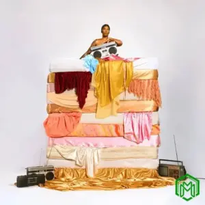 Tiwa Savage – Twisted