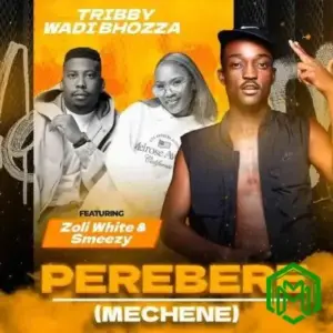 Perebere (Mechene) audio by Tribby Wadi Bhozza feat. Zoli White Smoke, SmeezyOn The Beat