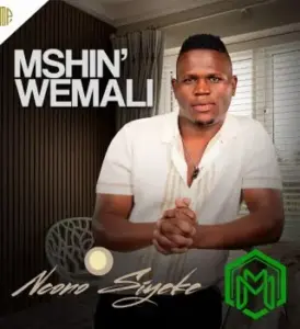 Ncono Siyeke audio by Mshinwemali feat. Shenge wasehlalankosi