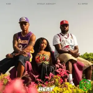 HEAT audio by KiDi feat. Stalk Ashley, KJ Spio