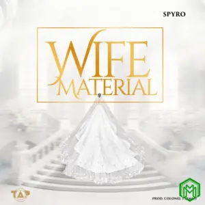 Spyro – Wife Material