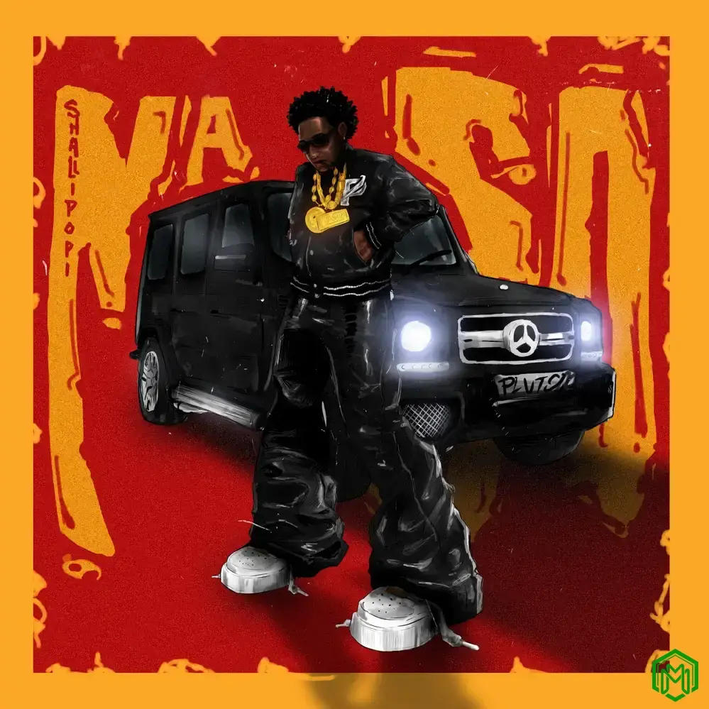 Na So audio by Shallipopi