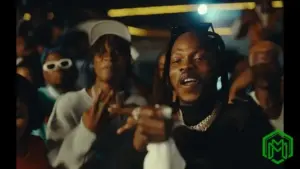 Cartoon audio by Naira Marley