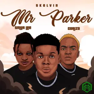 Mr Parker audio by Skelvin feat. Smur Lee, Corizo