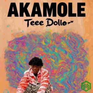 Akamole audio by Teee Dollar