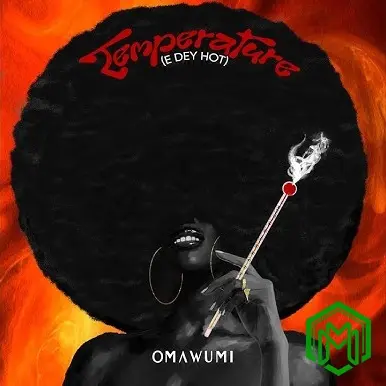 Temperature (E Dey Hot) audio by Omawumi