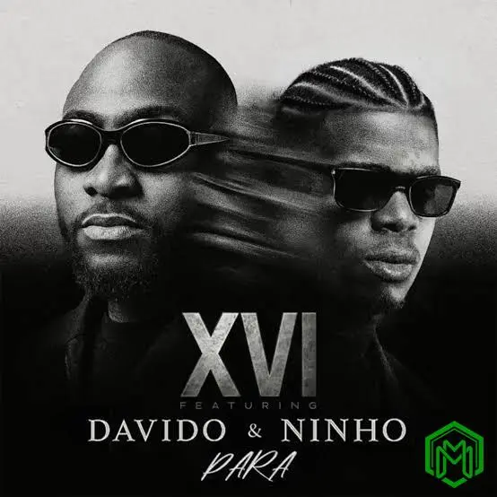 Para audio by XVI feat. Davido, Ninho