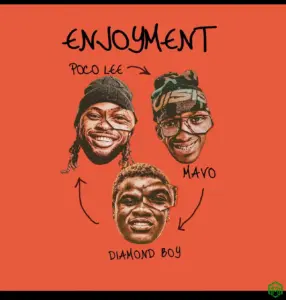 Enjoyment audio by Poco Lee feat. Mavo, Diamond Boy